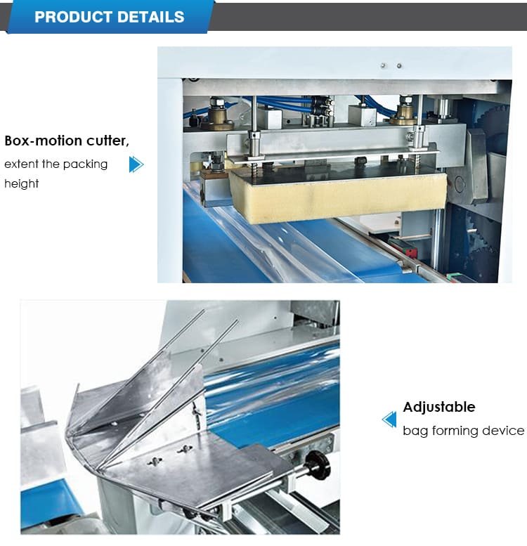 Automatic Vegetable Fruits Servo Control Flow Packing Machine Details